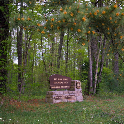 Spring in the Red River Gorge